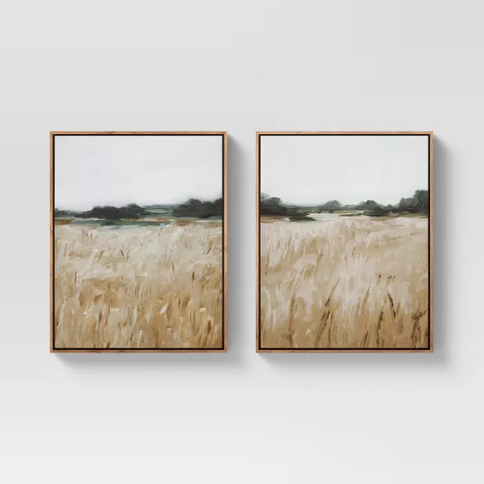 (Set of 2) 16" x 20" Grassy View Framed Canvas - Threshold™ | Target