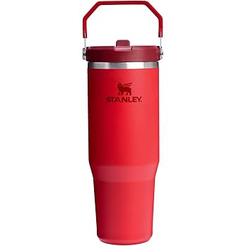 Stanley IceFlow 2.0 Flip Straw Tumbler with Handle 30 oz | Twist On Lid and Flip Up Straw | Leakp... | Amazon (CA)