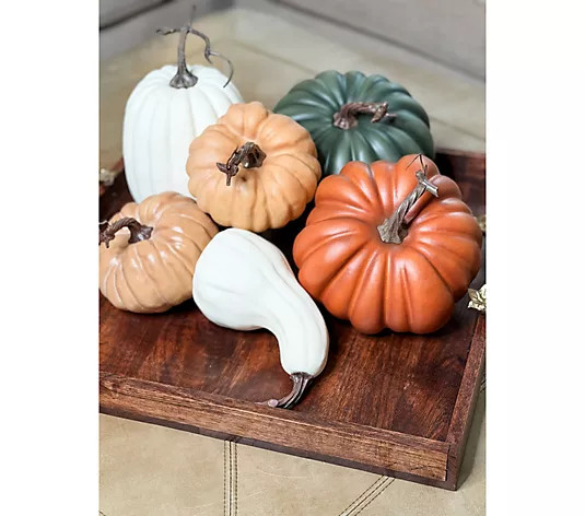 Simply Stunning Set of 6 Heirloom Pumpkins by Janine Graff | QVC