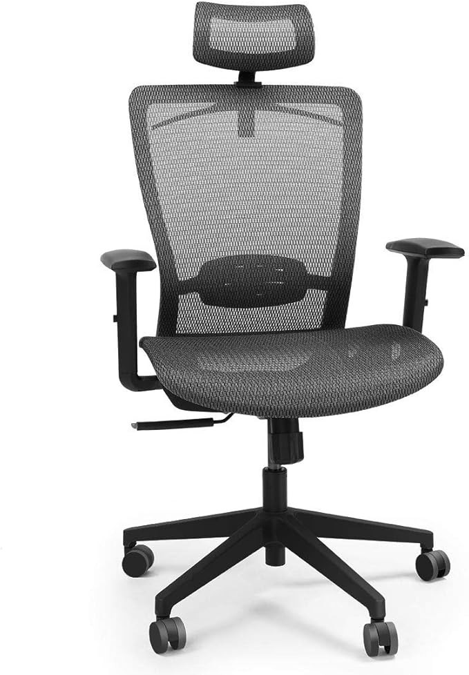 FlexiSpot OC3B Ergonomics Executive Office Chair Swivel Height Adjustable Seat Headrest Armrest o... | Amazon (US)