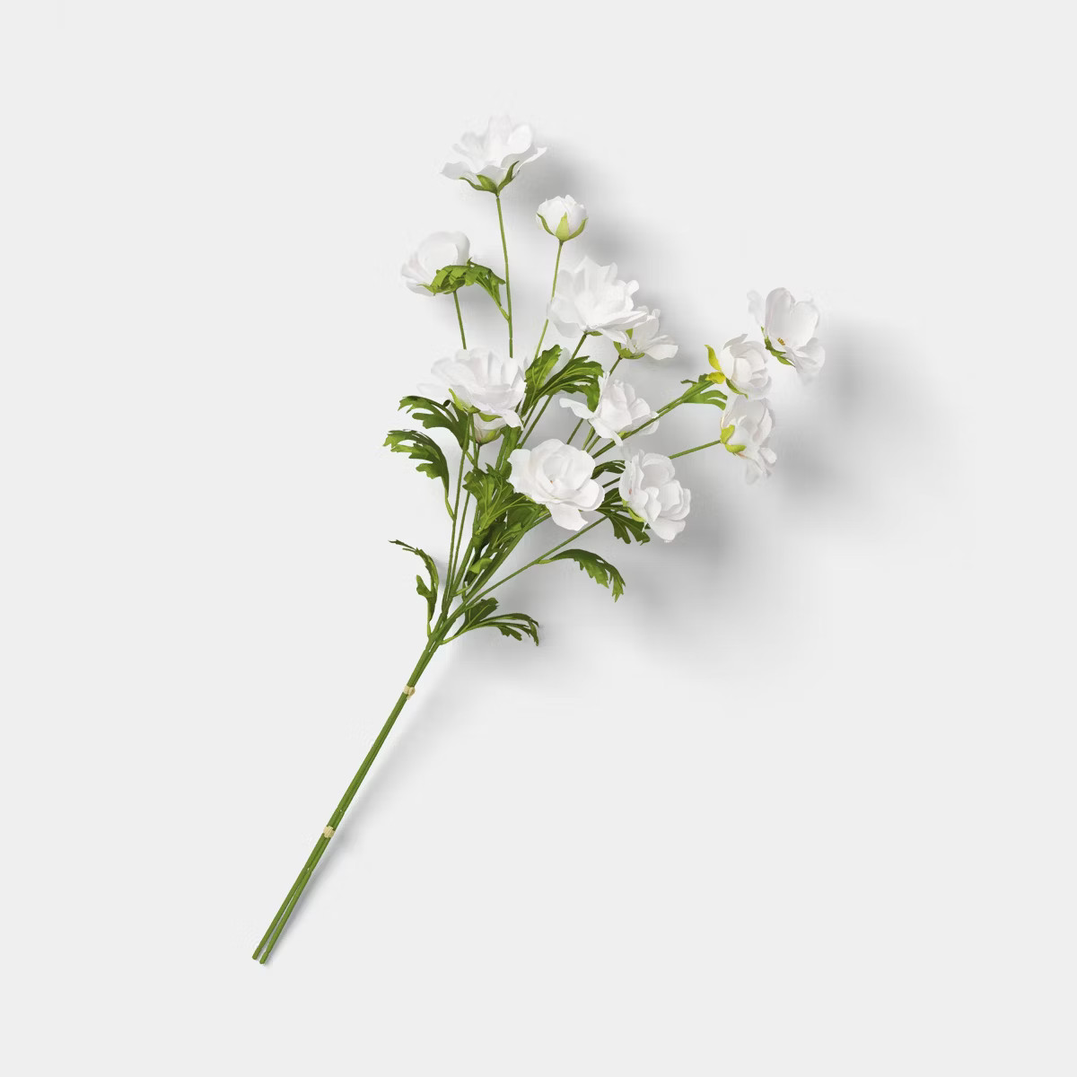 Ranunculus Stem - Threshold™ | Target