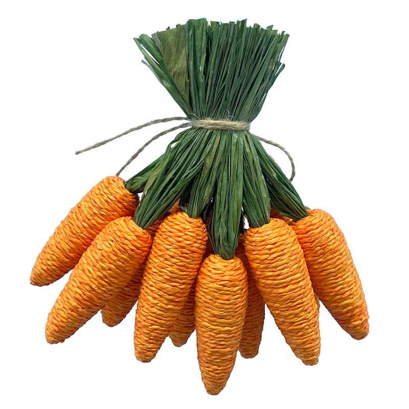 Set of 12 Easter Carrots | At Home