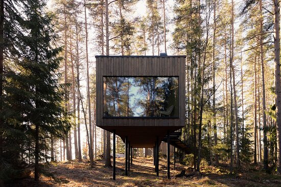 Trakt Forest Hotel | TripAdvisor US