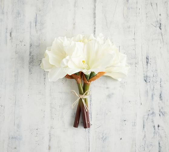 Faux Amaryllis Bundle - White | Pottery Barn (US)