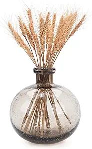 Glass Flower Vase for Home Decor, Clear Bubble Glass Vase (H:7.5" D:6.7"), Nordic Minimalist Styl... | Amazon (US)
