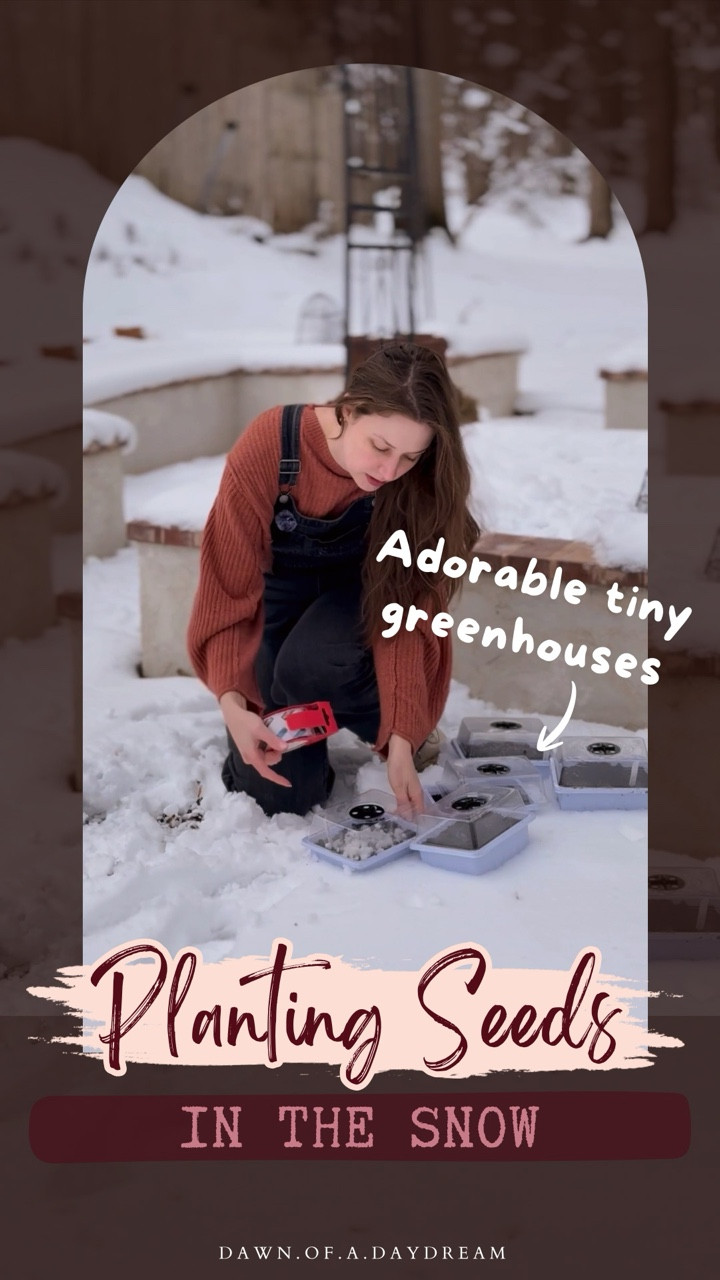 This is my first time winter sowing and I have absolutely no idea if it will work but I’m really hopeful! 

 I wanted a fool proof, beginner friendly way to fill my DIY garden and this ticked all the boxes.

Have you tried this method before or is there another you prefer? Let me know your favorite, what should I try next?

If you want the link to these little green houses You can comment “DIY” and I’ll send it your way but please note you can use ANY clear plastic container for this, milk jugs are a great option! ☺️

If you’re looking for info on the European garden bed build you can check out my raised bed highlight, the entire project is documented there from start to finish! 

............................................................................ 

Old house, big dreams and a girl with zero experience figuring it out as she goes! 
This isn’t an expert DIY account. It’s a “you’ve got this too” kind of space 🫶
Follow along and let’s learn together! 💗

🎥 Want more than the pretty before and after? Stories are the heart of the project , unfiltered + in-progress
💌 It’s official: our cozy corner of the internet is open! Swing by the website , I’d love to see you there.

............................................................................

#DIYGardenProject #WinterSowingDIY #RaisedBedGarden #BeginnerGardener #CreativeHomeProjects
DIY winter sowing for beginners | starting seeds in mini greenhouses | using recycled containers for seed starting | beginner-friendly garden projects | DIY raised bed garden build | European style garden bed DIY | backyard gardening for beginners | filling garden beds with self-started plants | creative DIY gardening ideas | step-by-step garden build inspiration