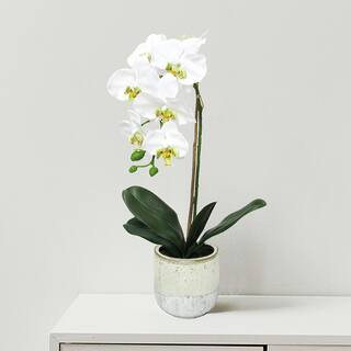 22 in. Artificial Phalaenopsis Orchid Flower Arrangement in Half Glazed Ceramic Pot | The Home Depot