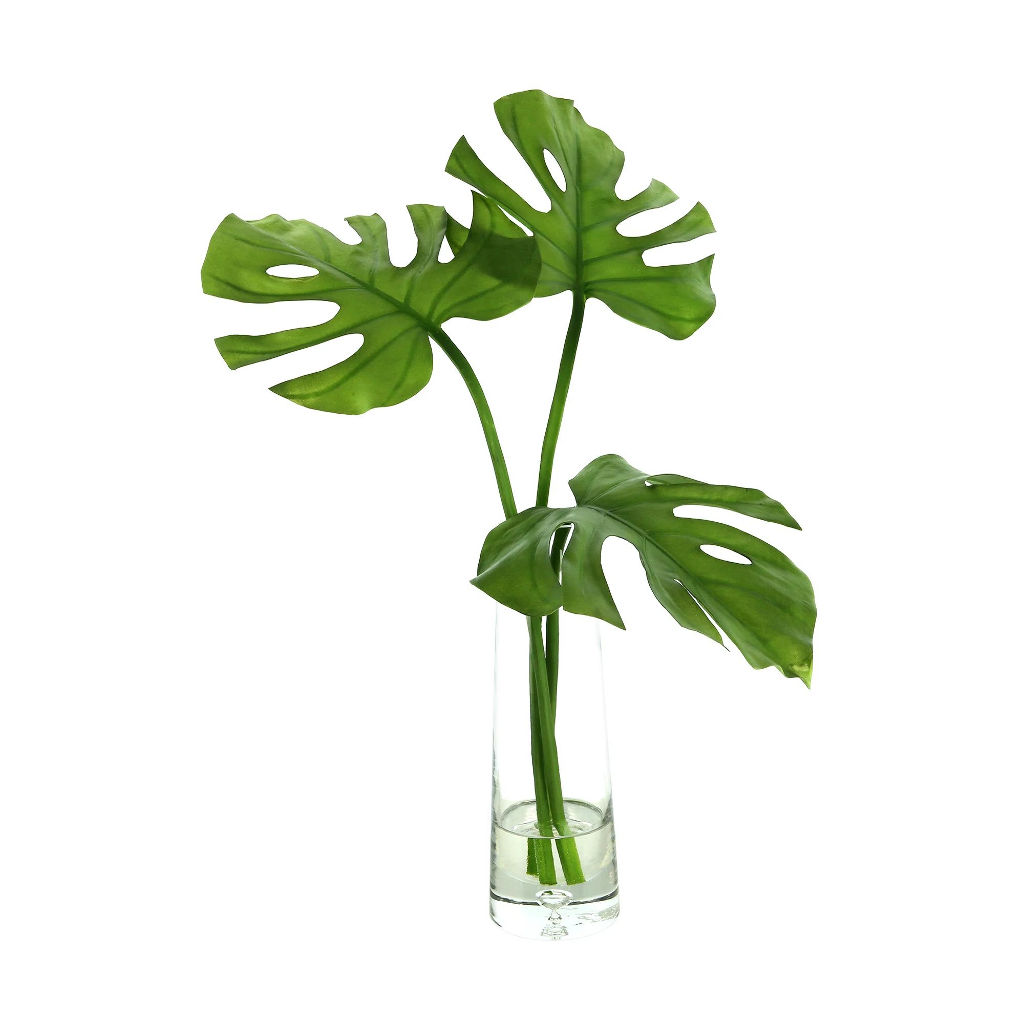 Primrue 23'' Faux Philodendron Plant in Glass Vase & Reviews | Wayfair | Wayfair North America