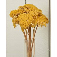 Dried Natural Yarrow Bunches | Yellow Flowers Wedding Decor Fall | Etsy (US)