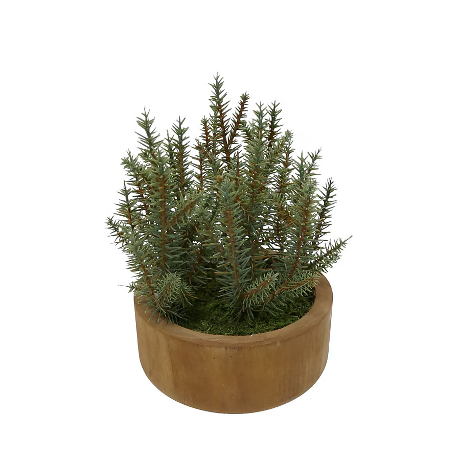 allen + roth 10.5-in Green Indoor Desktop Pine Artificial plant | Lowe's