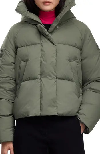 Chilliwack 750 Fill Power Down Puffer Jacket | Nordstrom
