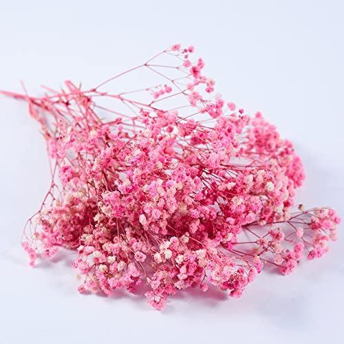 Birtlynn Preserved Baby's Breath 3 Bunches, 100% Natrual Fresh Gypsophila Long Lasting Flowers fo... | Amazon (US)