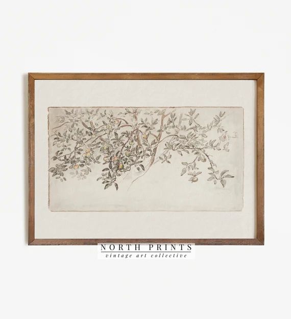 Vintage Apple Tree Sketch | Antique Botanical Drawing | Rustic Country Art Print Digital PRINTABL... | Etsy (US)