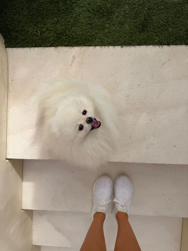 APL shoes  

 #LTKdayinmylife #LTKootd #LTKActive