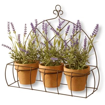 3 Piece Potted Lavender Flower Set with Rack | Wayfair North America