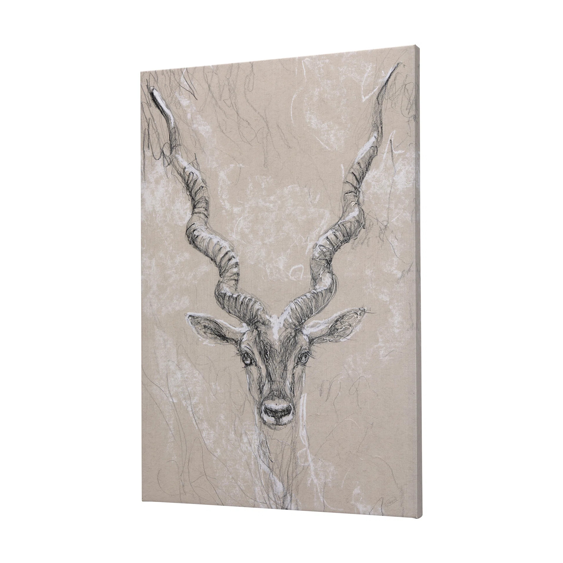Sketch of animal III (Antelope) a Hand Embelished Textured Canvas | Wayfair North America