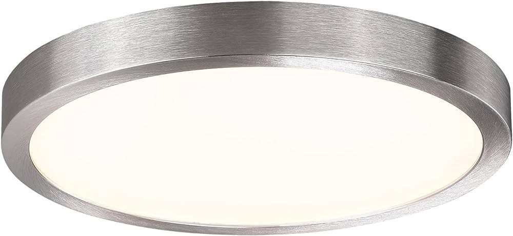 10 Inch LED Flush Mount Ceiling Light, Slim Dimmable Round Flat Panel Light for Kitchen, Bedroom,... | Amazon (US)