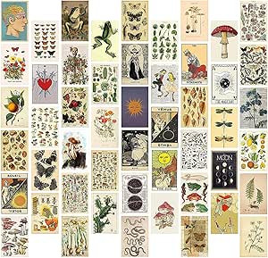 50 Kit de Collage Mural Botanique Vintage Esthétique - Ensemble de Photo - Affiche Vintage Room ... | Amazon (FR)