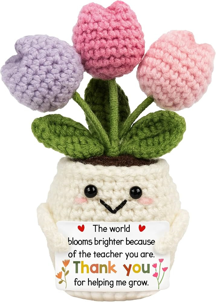 Teacher Appreciation Gifts - Teacher Gifts for Women - Teachers Appreciation Week, Thank You Croc... | Amazon (US)