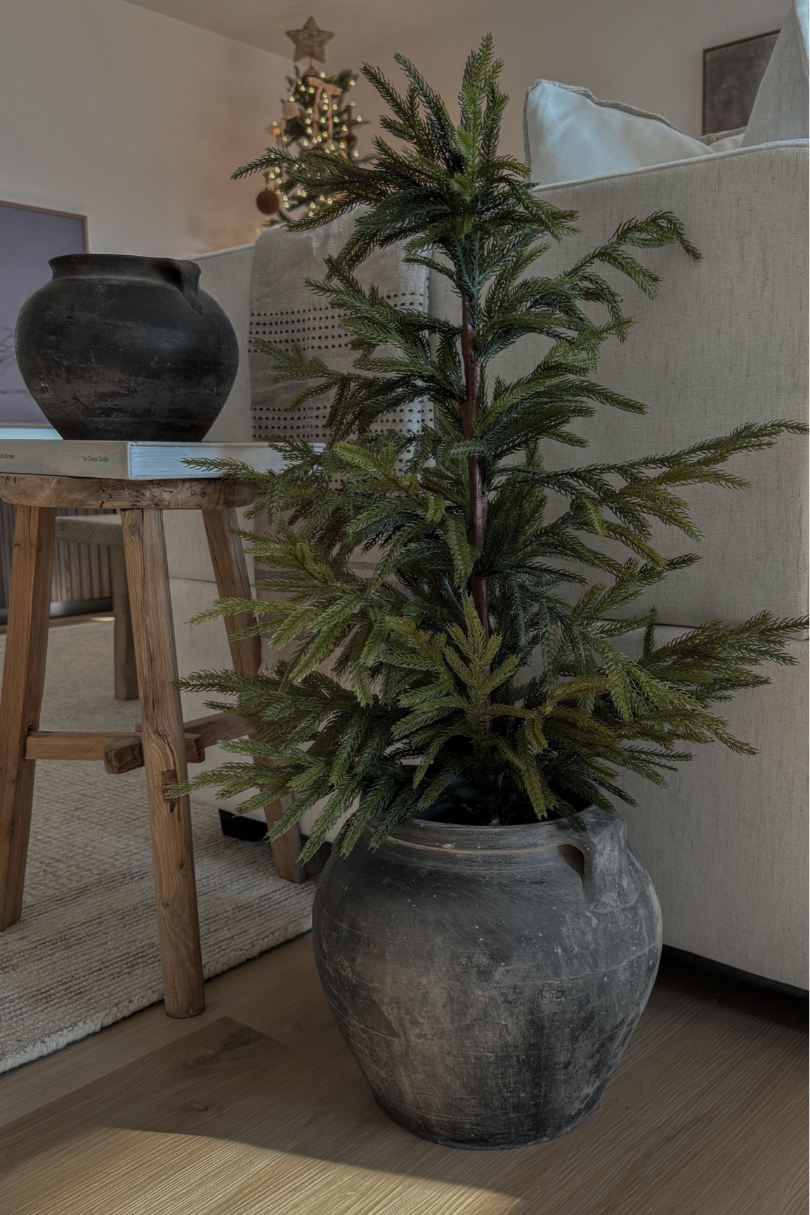 Norfolk pine tree! Organic modern Christmas decor neutral Christmas finds 

#LTKHoliday #LTKSeasonal #LTKHome