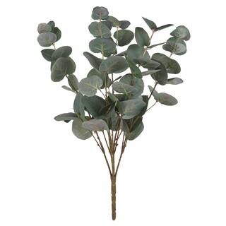 Green Silver Dollar Eucalyptus Bush by Ashland® | Michaels Stores