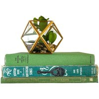 Shabby Large Vintage Green Coffee Table Books, Antique Rustic Interior Decorator Book Stack Collection, Home Staging Books | Etsy (US)