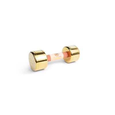 Blogilates Iron Dumbbell - Gold 15lbs | Target