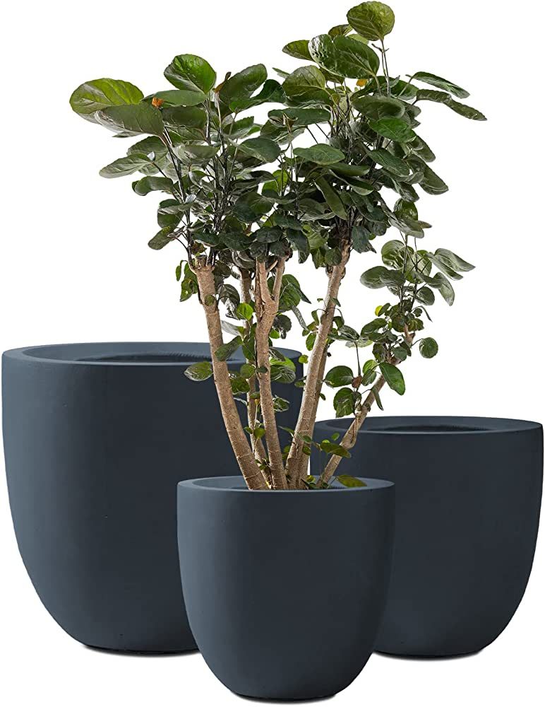 Kante 20", 16.5" and 13.3" D Round Charcoal Finish Concrete Modern Planters (Set of 3), Outdoor I... | Amazon (US)