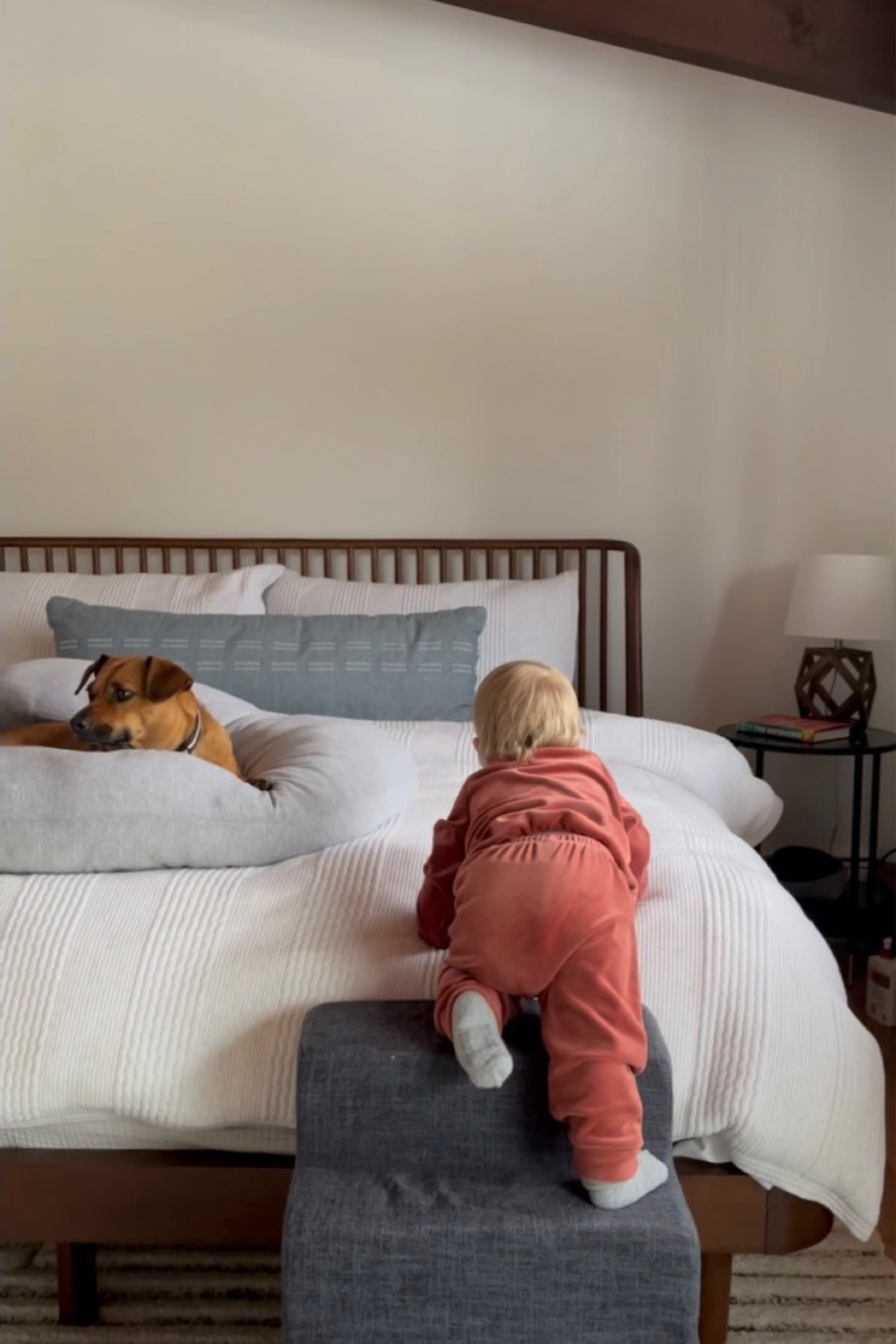 Pet stairs that wont mess with your bedroom aesthetic! Bonus, kids love ‘em too! 

#LTKSale #LTKfamily #LTKFind