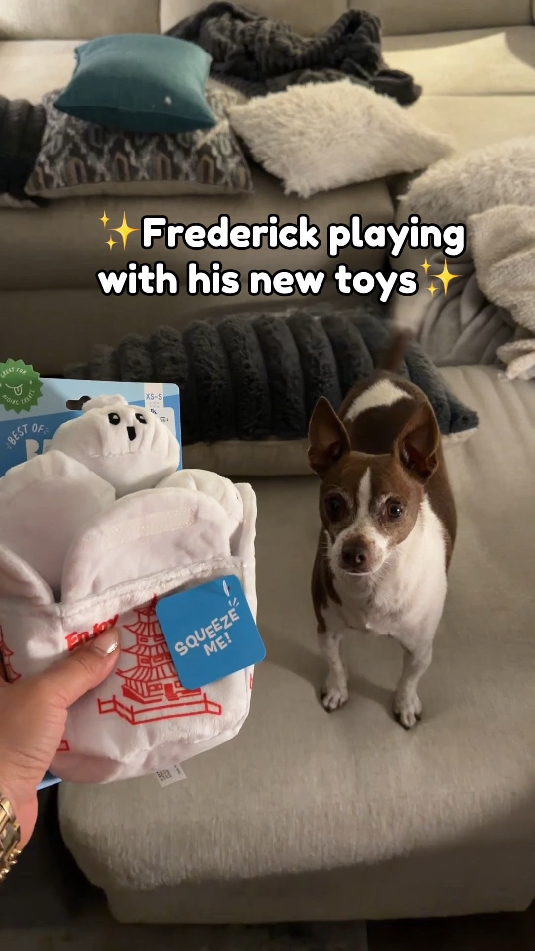Frederick loves small soft toys that have a squeaker like these little dumplings. He’s a smart little dog so hiding them in the box is a good challenge for him. And he likes the crinkly sound the box makes when he moves it around. Fun toy for small dogs! 

#LTKdayinmylife #LTKFindsUnder50