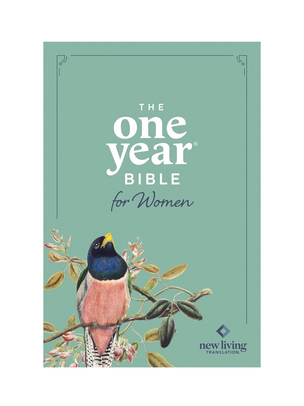 One Year Bible - comes in softcover & hardcover. Awesome for The New Year! Great gift idea! 

Gifts for her. Gift ideas  

#LTKFindsUnder50 #LTKHoliday #LTKSeasonal