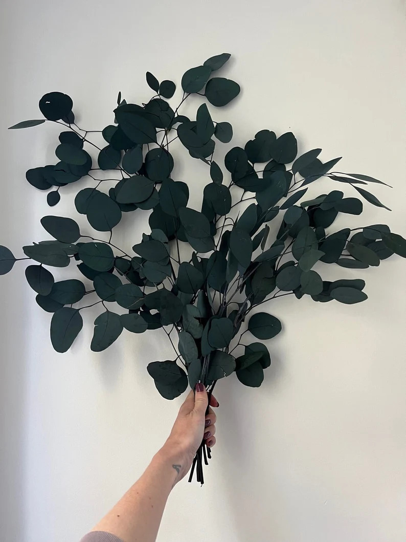 Preserved Eucalyptus Populus | Etsy (UK)