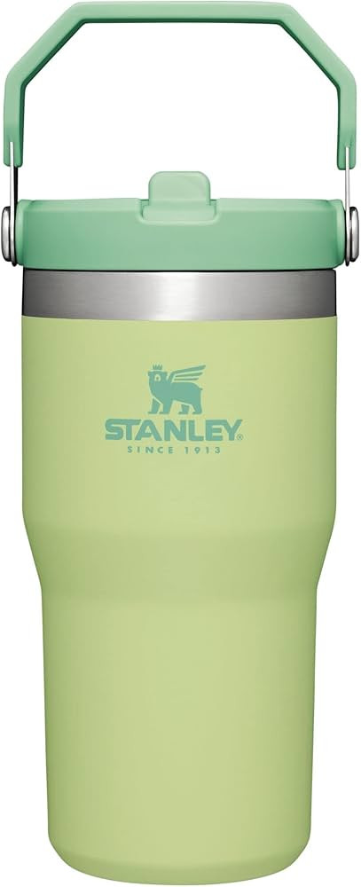 Stanley IceFlow Flip Straw Tumbler with Handle 20 oz | Twist On Lid and Flip Up Straw | Leak Resi... | Amazon (US)