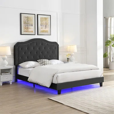 Upholstered Bed Button Tufted With Curve Design - Strong Wood Slat Support - Easy Assembly - Black Velvet - With LED Light-Platform Bed - Queen | Wayfair North America