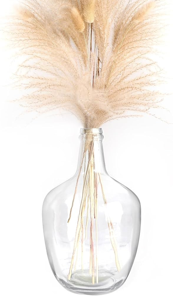 Clear Glass Vase, 10.2” H x 6.3” W, Glass Jug Vase for Pampas Grass, Bubble Flower Decorative... | Amazon (US)