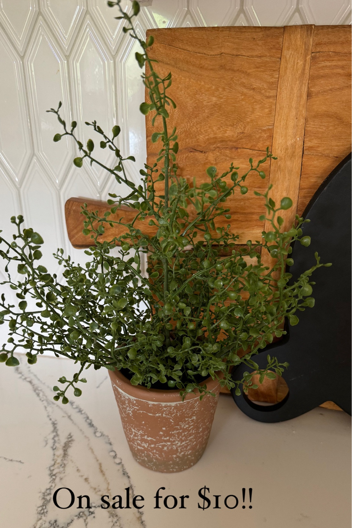 On sale for $10! Looks real, but it’s faux!

#LTKSaleAlert #LTKHome