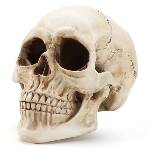 SHUS LIVE Skull Decor, Premium Resin Realistic Skeleton Head Statue for Halloween, Fake Human Bone Skull Model for Halloween Decoration, Home Bookshelf, Table, Party Display | Amazon (US)