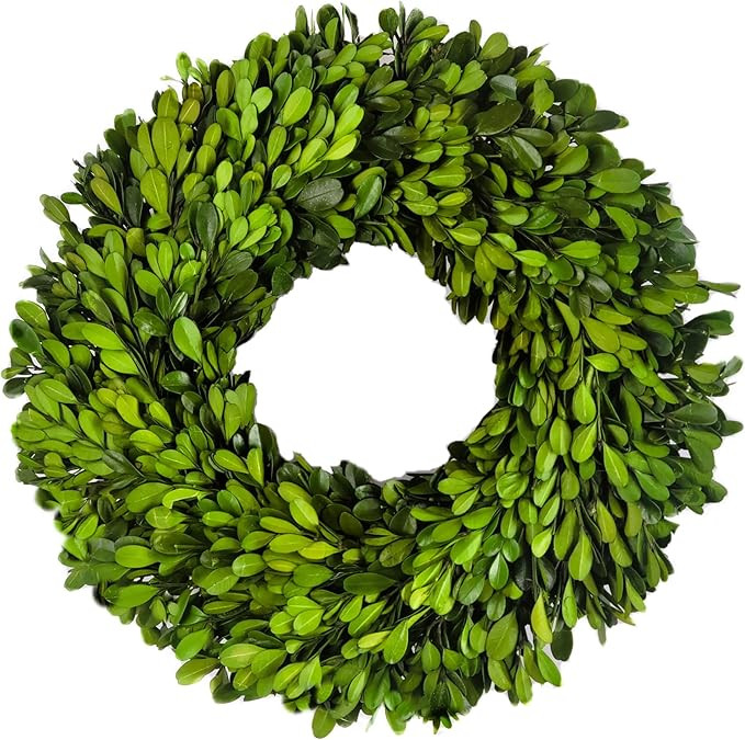 Preserved Boxwood Wreath 12 in by Tradingsmith | Amazon (US)