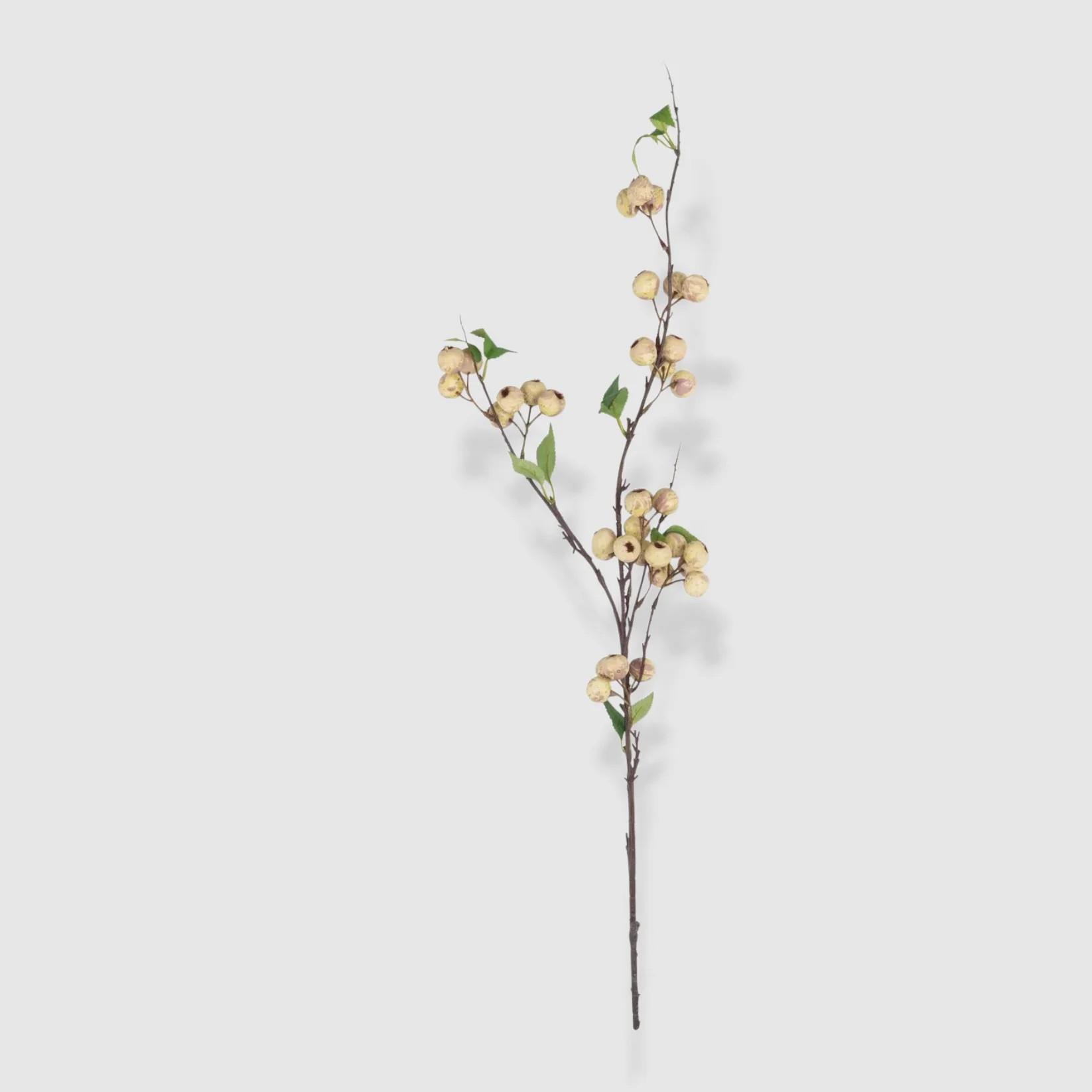 Faux Hawthorn | A Lush and Lifelike Botanical Accent | Bloomist, Inc