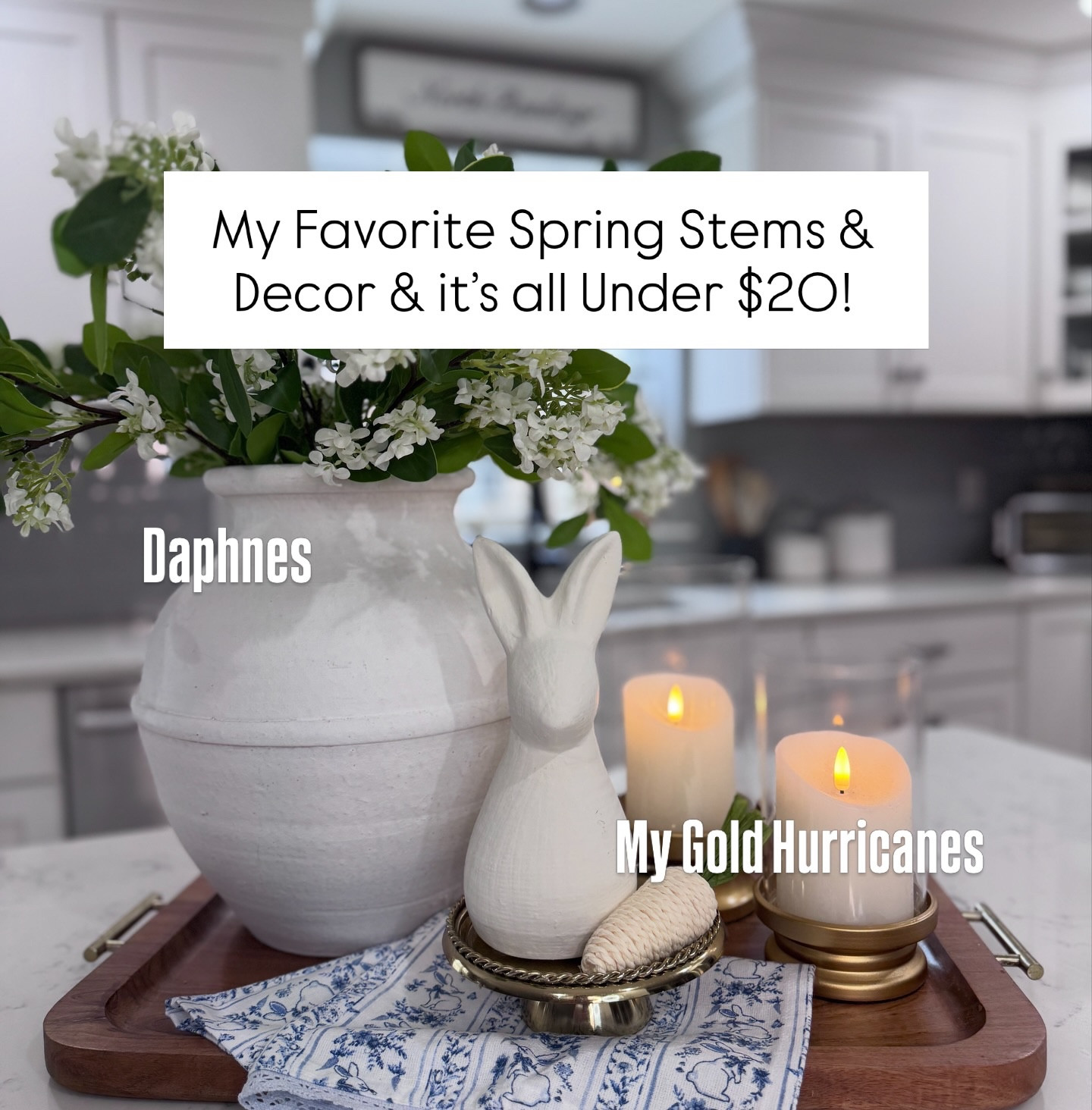 It’s a chilly & grey Wednesday and Mother Nature has decided Spring will arrive very fashionably late here in New England. In the meantime, I’m sharing some of my Spring stems & decor hoping it will inspire the weather to warm up! Almost everything I’ve shared is under $20, so stock up before it’s gone! 

🔗🛒Comment SHOP and I’ll DM you the links to everything I’ve shared. 🔗🛒

#flowers #springdecor #decor #tray #homedecor