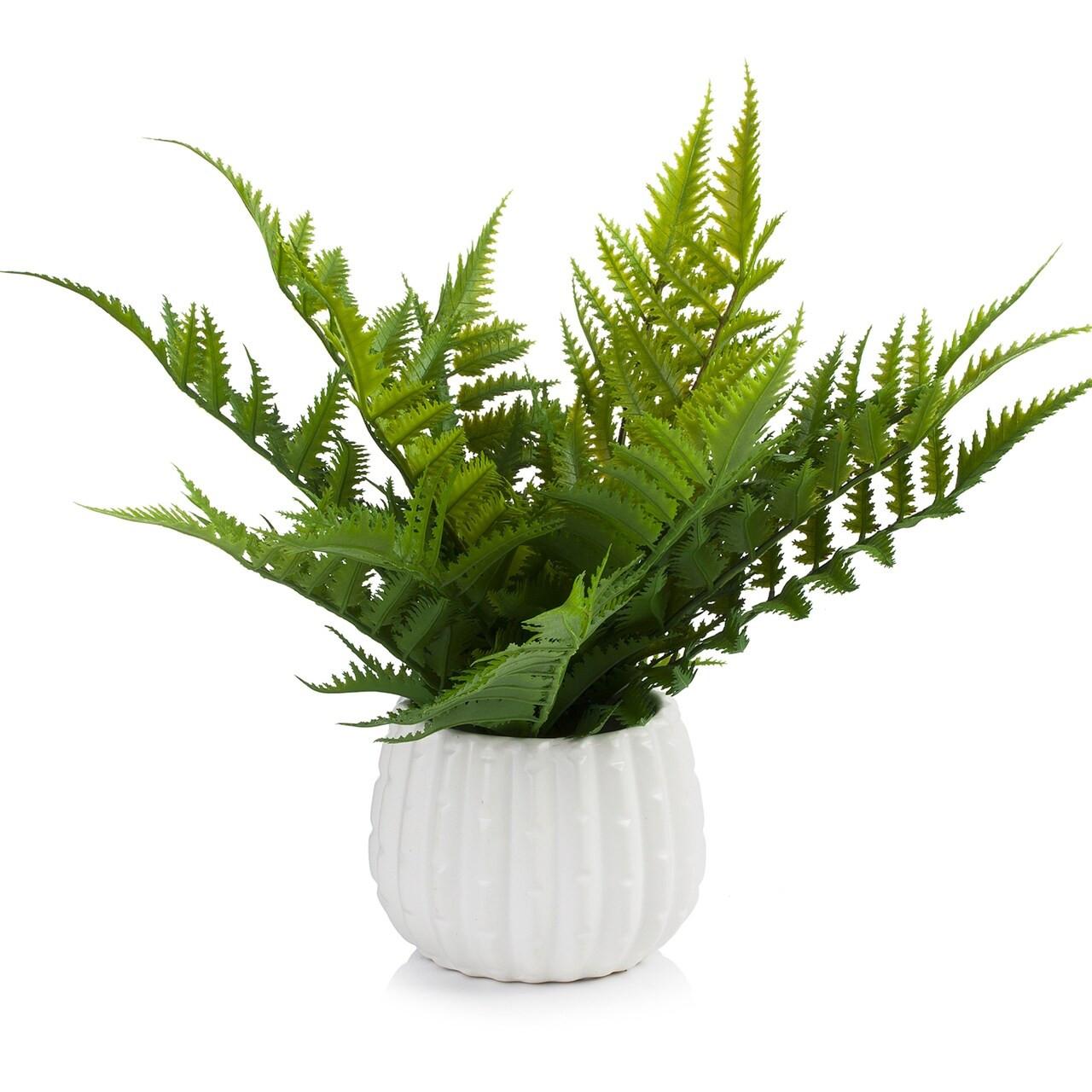 Enova Home 12 Inch Artificial Fern Plant Arrangement in Round Tapered Ceramic Pot with Faux Water -  | Bed Bath & Beyond