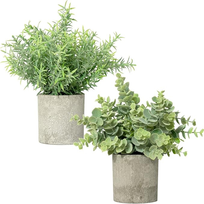 MOORLI 2 Pack Mini Potted Fake Plants Artificial Plants Artificial Plastic Eucalyptus Plants for ... | Amazon (US)