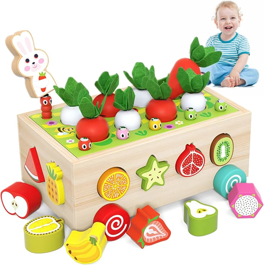Rexinc Gifts for 2 Year Old Girls Montessori Toys for 1,2,3,4 Year Old Toddlers Boys and Girls ,W... | Amazon (US)