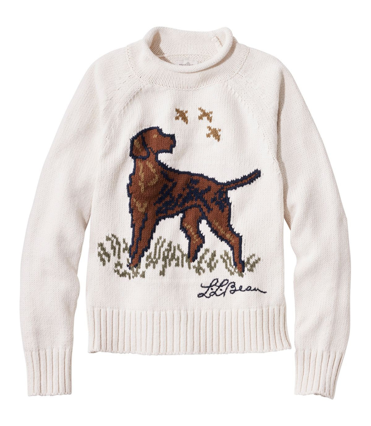 Women's Signature Original Cotton Sweater, Rollneck Novelty | L.L. Bean