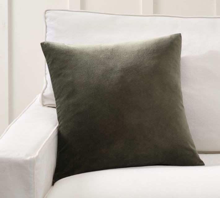 Everywhere Velvet Pillows | Pottery Barn (US)