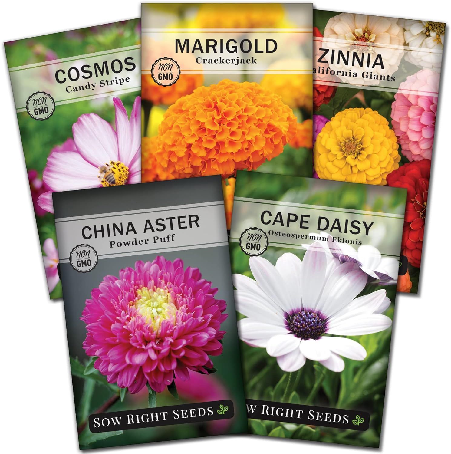 Sow Right Seeds - Annual Flower Seed Garden Collection for Planting - 5 Packets Includes Marigold... | Amazon (US)