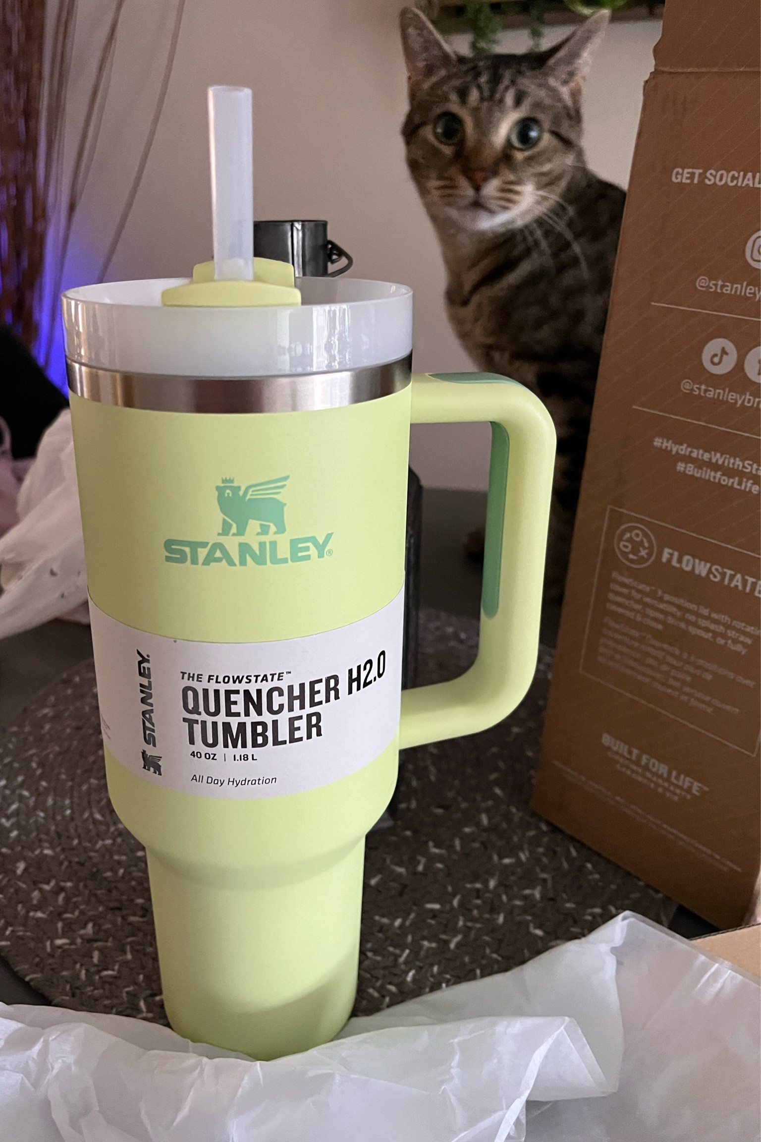 Stanley Quencher H2.0 FlowState … curated on LTK