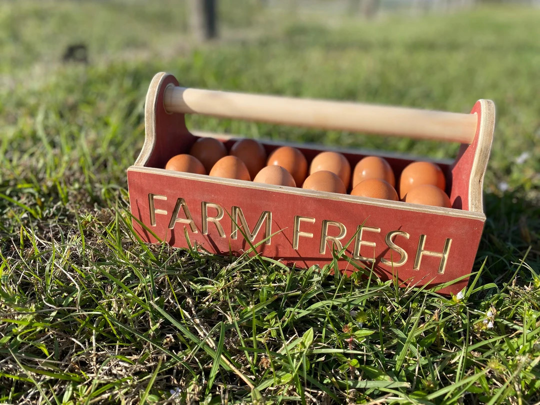 Hand Made Farm Fresh Egg Carrier - Etsy | Etsy (US)