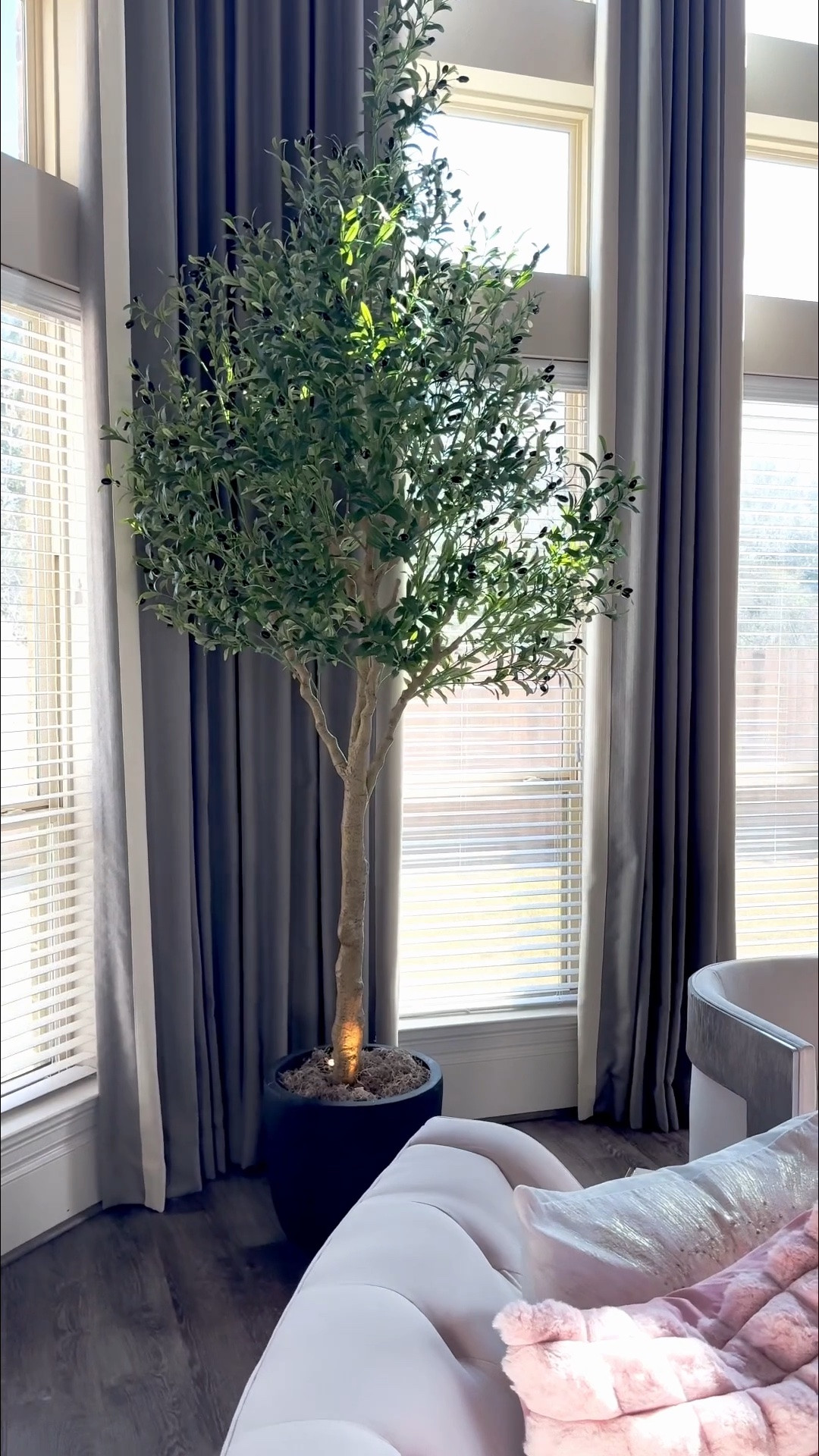 This gorgeous realistic looking olive tree is on the lowest price ever

#LTKHome #LTKSaleAlert #LTKActive