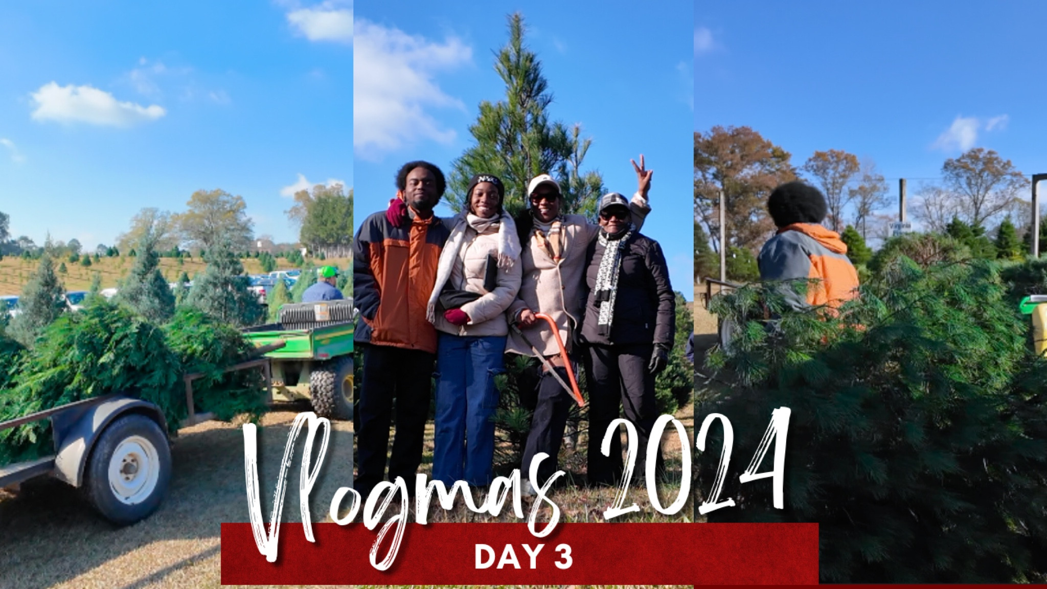 Let’s Shop for our Christmas Trees!

#LTKFindsUnder100 #LTKOver40 #LTKMidsize